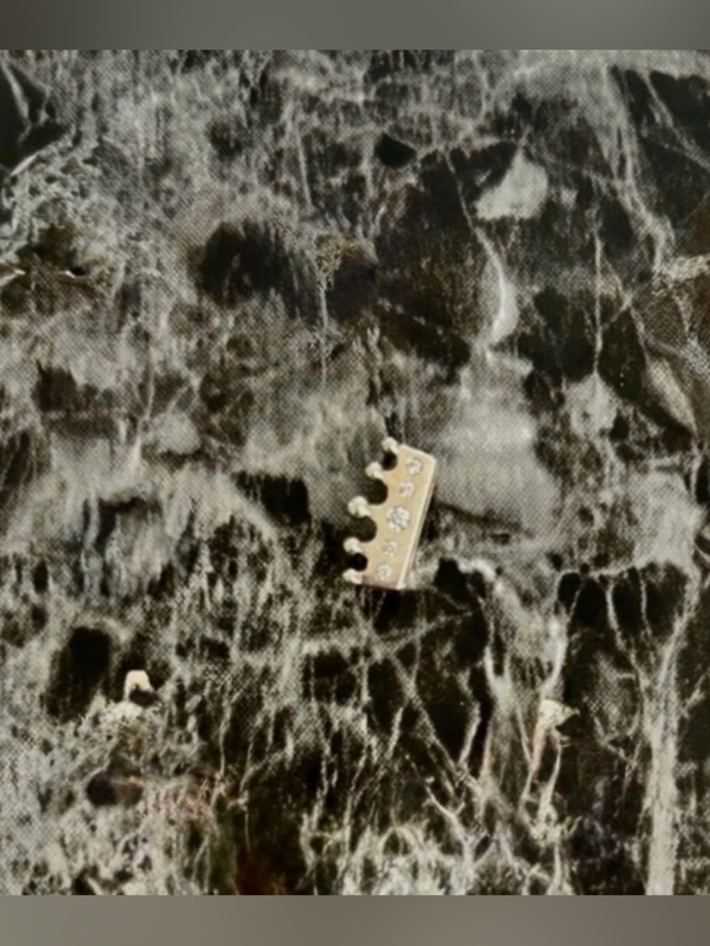 Pandora Reflection Charm